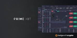 Unlocking Opportunities The Forex PrimeXBT Experience Unlocking Opportunities The Forex PrimeXBT Experience
